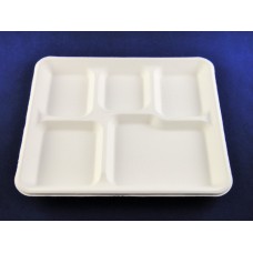 T-0501 100% Compostable paper pulp product